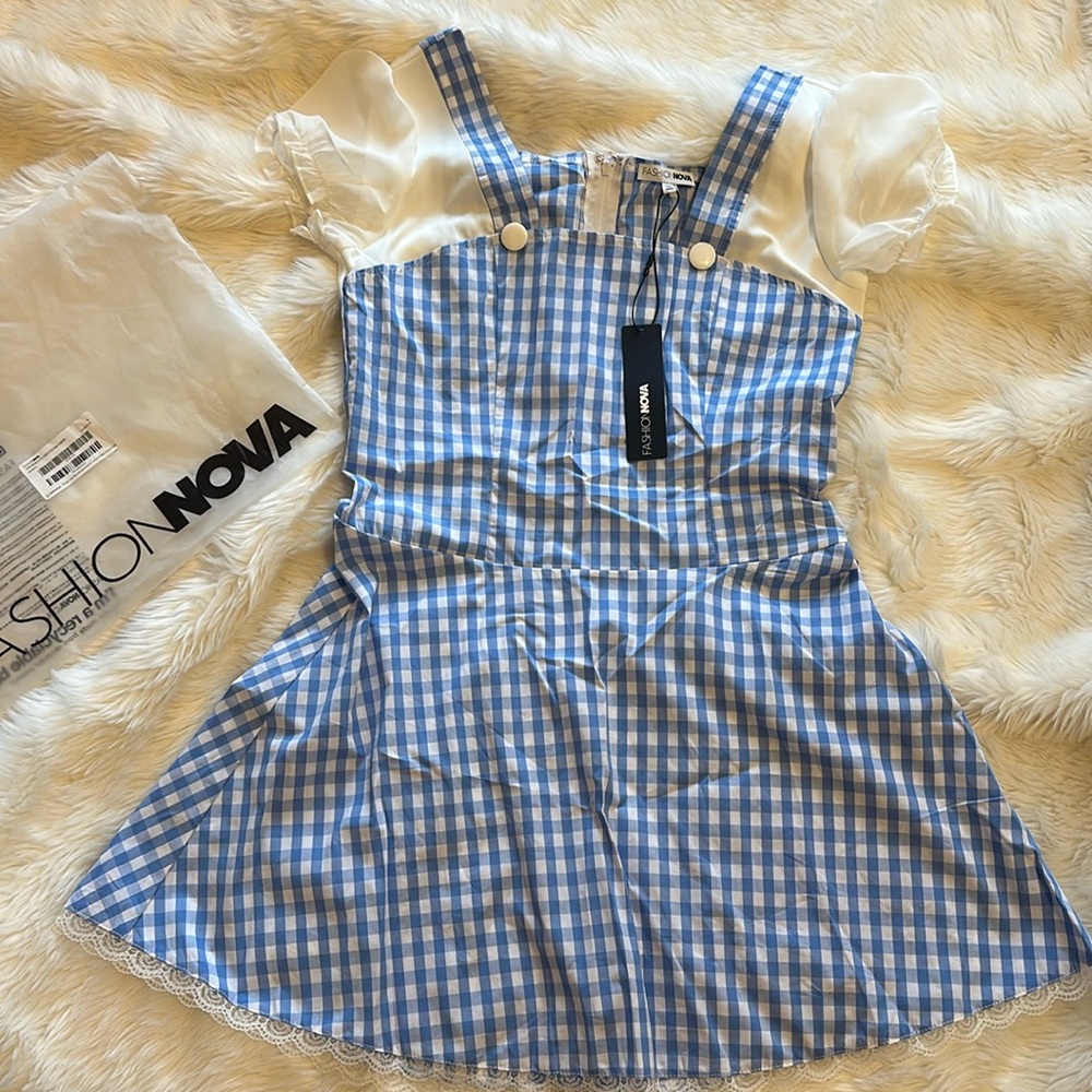 Fashion Nova Dorthy Costume